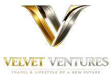 Velvet Ventures logo with a metallic gold and silver stylized "V" lettermark.
